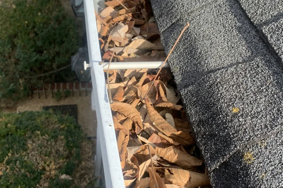 Gutter Cleaning Ettrick