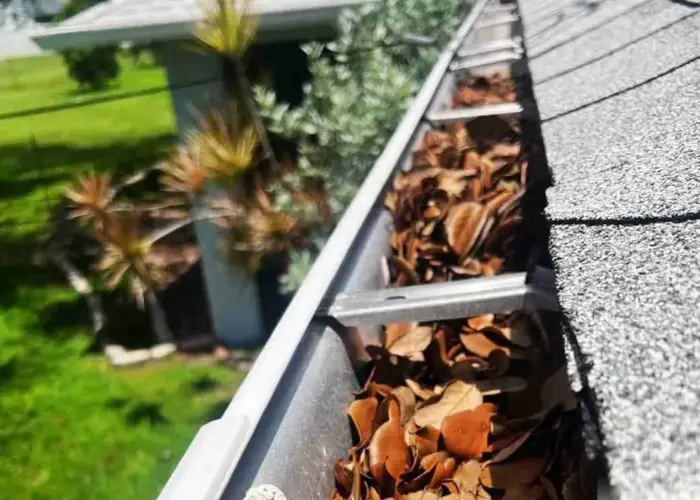 Gutter Cleaning Ettrick home page